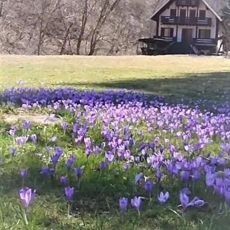 Casa De Vacanta Satic Piatra Craiului La Doi Viermi Eksteriør bilde