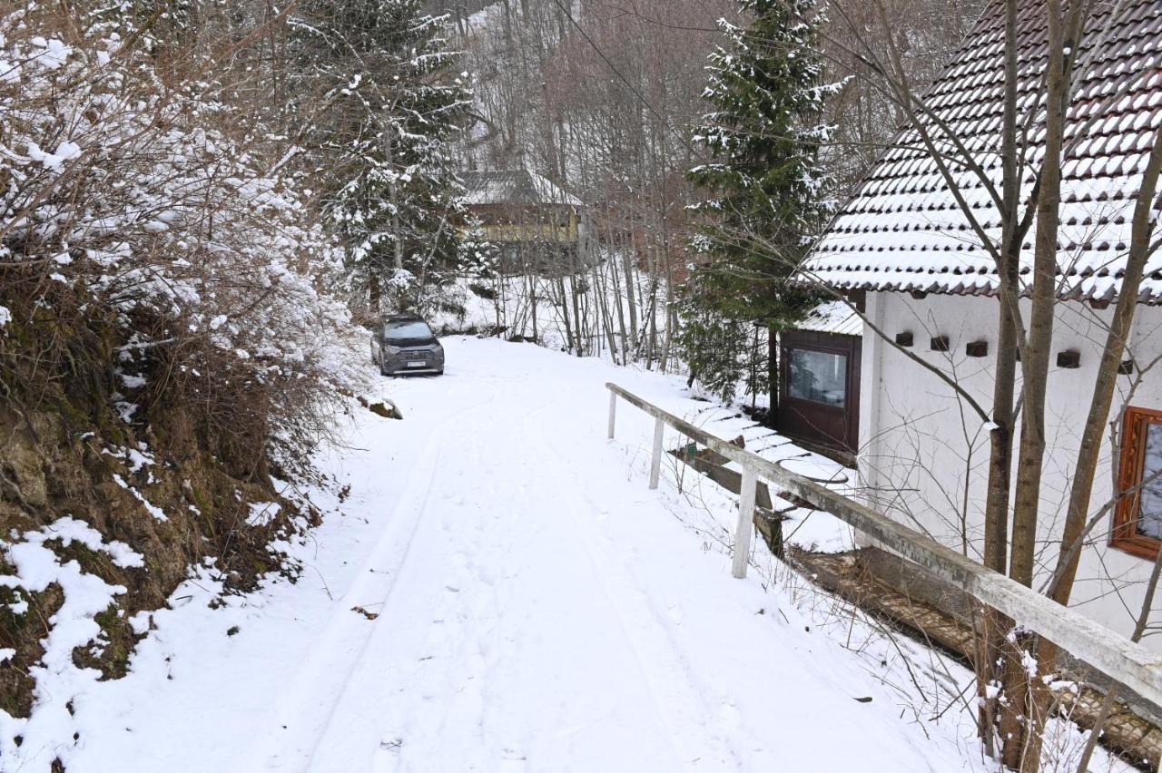 Casa De Vacanta Satic Piatra Craiului La Doi Viermi Eksteriør bilde