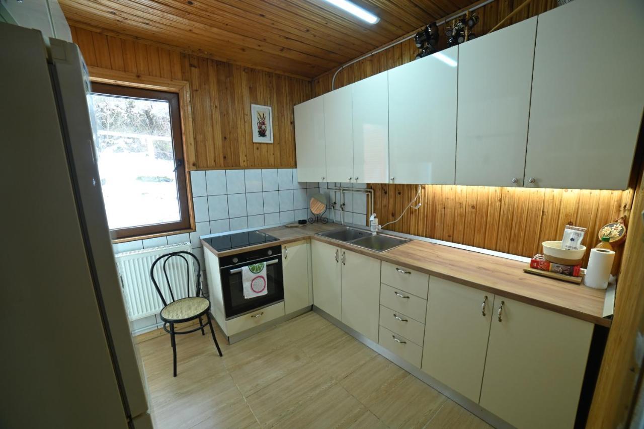 Casa De Vacanta Satic Piatra Craiului La Doi Viermi Eksteriør bilde