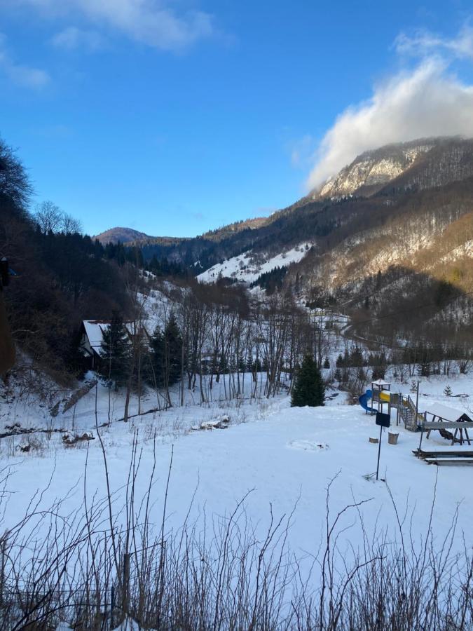 Casa De Vacanta Satic Piatra Craiului La Doi Viermi Eksteriør bilde