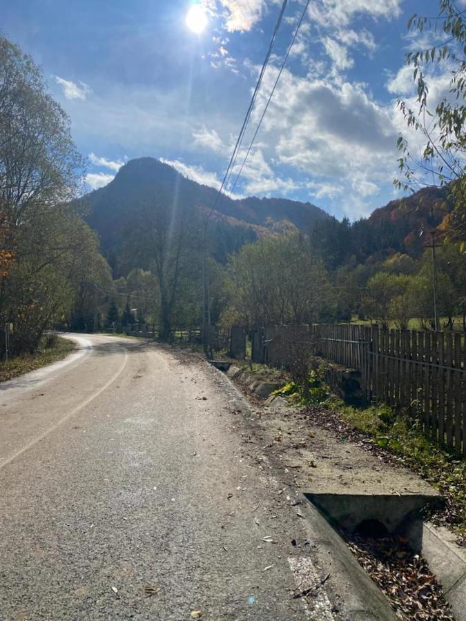 Casa De Vacanta Satic Piatra Craiului La Doi Viermi Eksteriør bilde