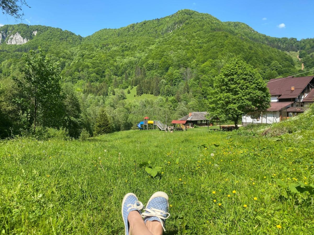 Casa De Vacanta Satic Piatra Craiului La Doi Viermi Eksteriør bilde
