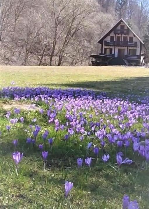 Casa De Vacanta Satic Piatra Craiului La Doi Viermi Eksteriør bilde