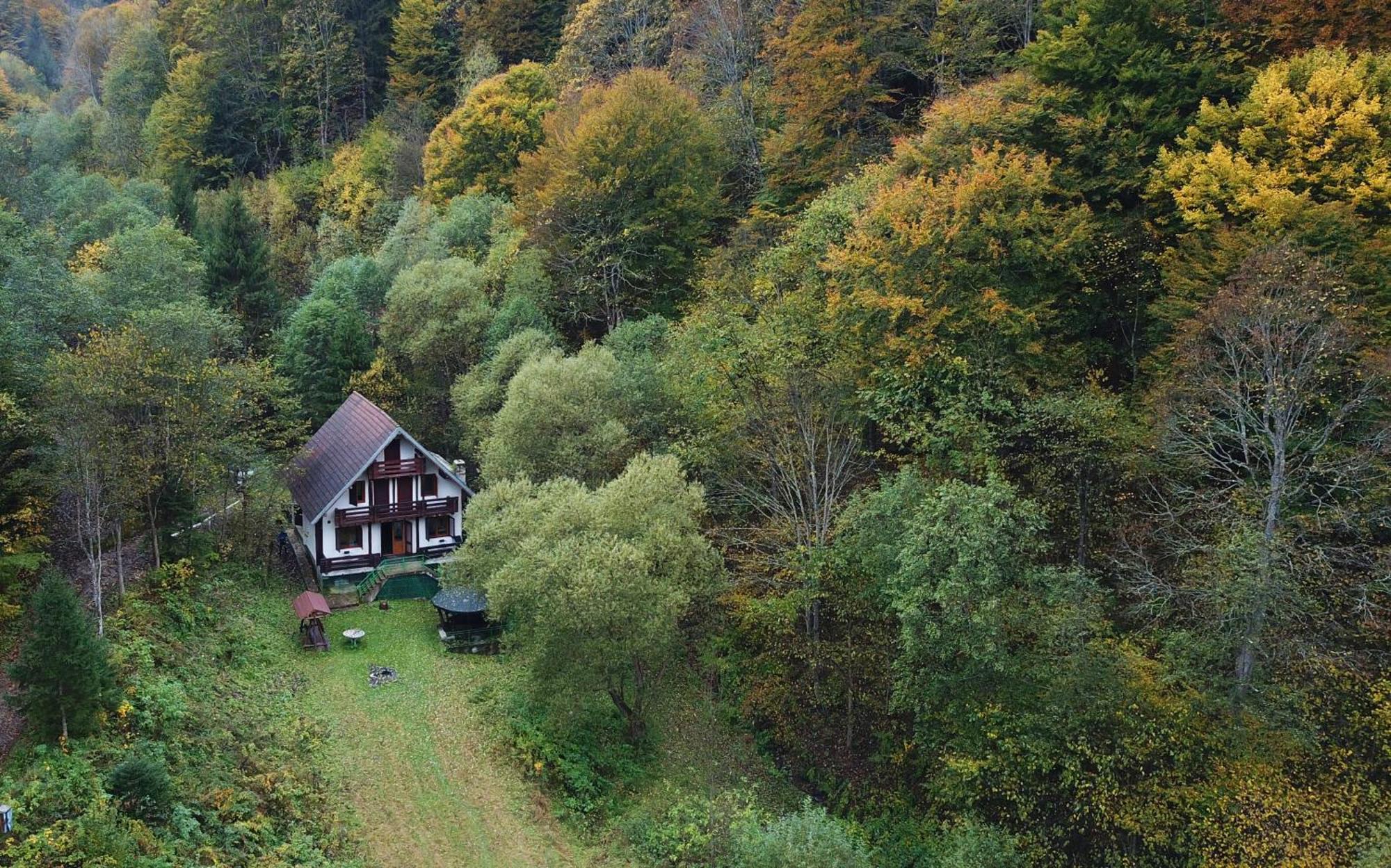 Casa De Vacanta Satic Piatra Craiului La Doi Viermi Eksteriør bilde